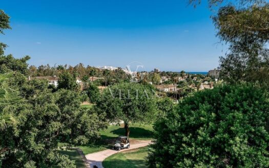 Chalets Independientes · Marbella