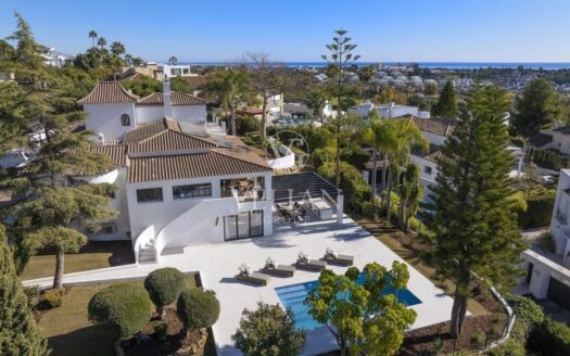Chalets Independientes · Benahavis
