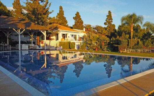 Chalets Independientes · Marbella