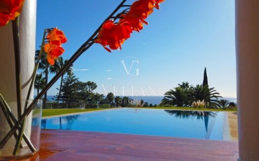 Chalets Independientes · Marbella