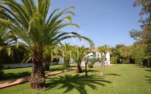 Chalets Independientes · Marbella
