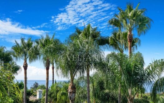 Chalets Independientes · Marbella