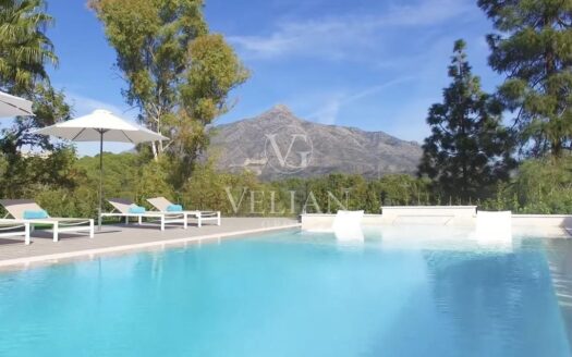 Chalets Independientes · Marbella