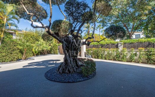 Chalets Independientes · Marbella