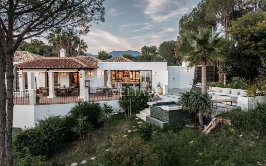 Chalets Independientes · Benahavis