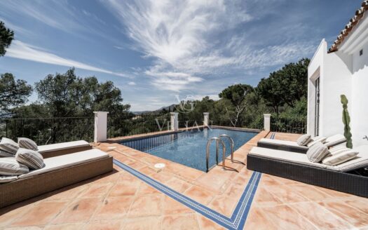Chalets Independientes · Benahavis