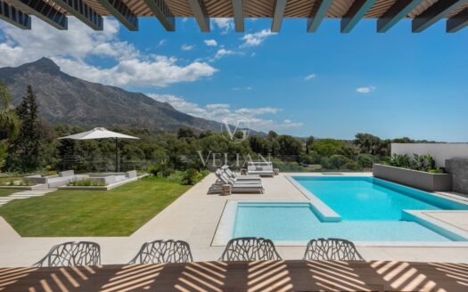 Chalets Independientes · Marbella