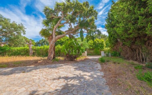 Chalets Independientes · Sotogrande