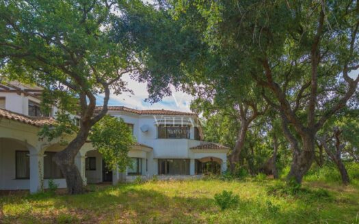 Chalets Independientes · Sotogrande