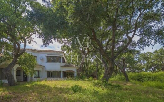 Chalets Independientes · San Roque