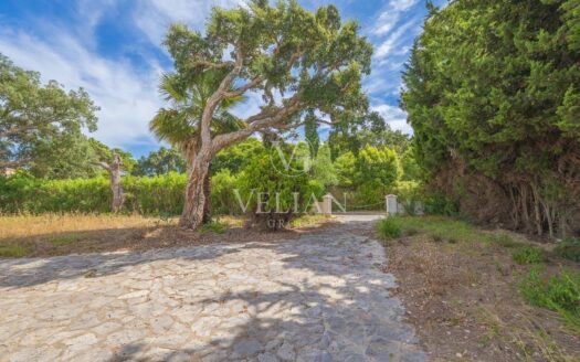 Chalets Independientes · San Roque