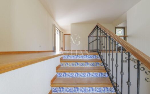Chalets Independientes · San Roque
