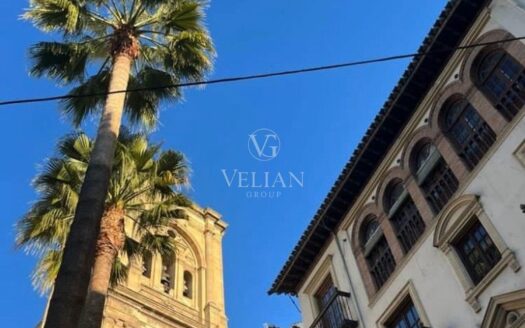 Vivienda con carácter y reforma integral, con vistas únicas a la Catedral