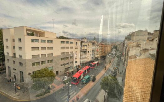 Pisos · Granada