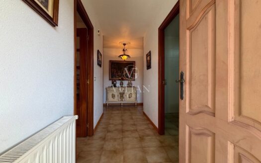 Chalets Independientes · Mesia