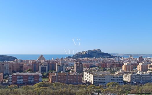 Pisos · Alicante/Alacant