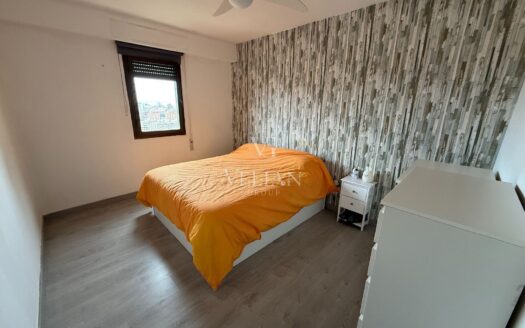 Pisos · Alicante/Alacant