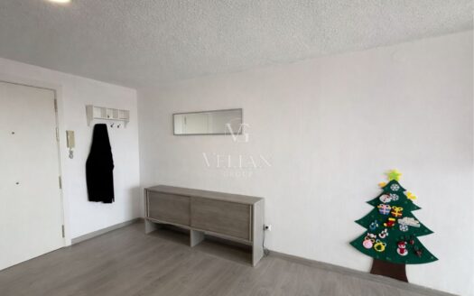 Pisos · Alicante/Alacant