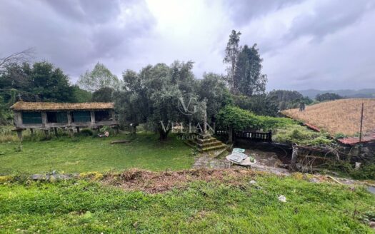 Chalets Independientes · Meis