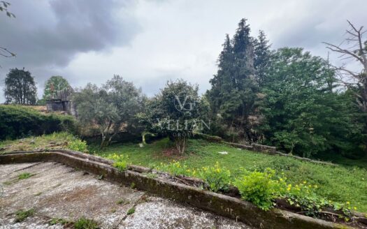 Chalets Independientes · Meis