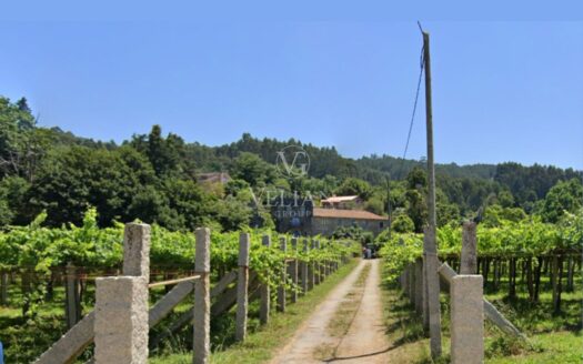 Chalets Independientes · Meis