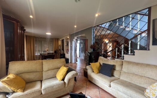 Chalets Independientes · Teo