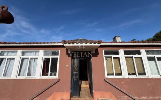 Chalets Independientes · Curtis