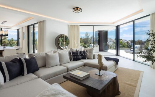 Chalets Independientes · Benahavis