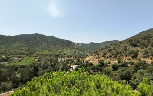 Adosados · Girona