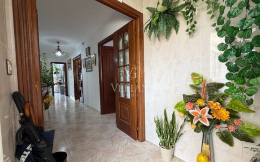 Chalets Independientes · Muros