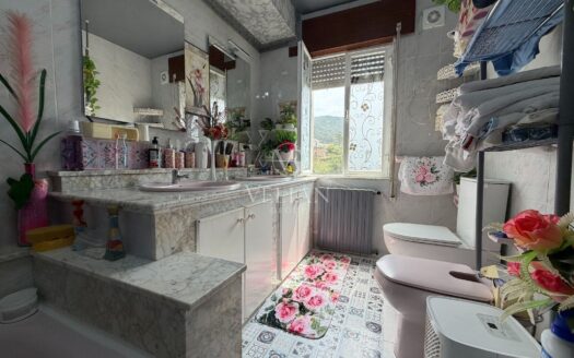 Chalets Independientes · Muros