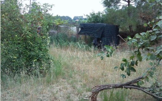 Parcelas · Ribadumia
