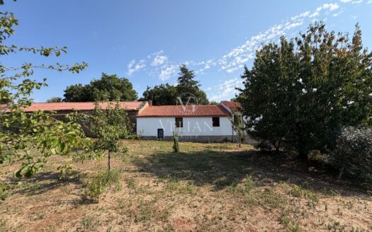 Pareados · Lalín