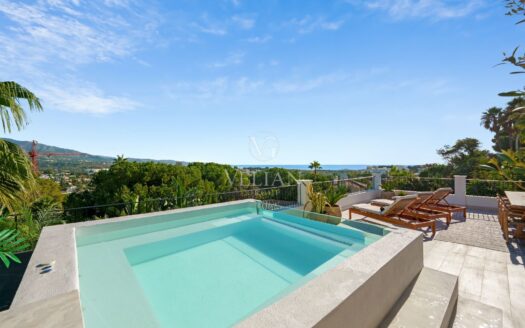 Chalets Independientes · Marbella