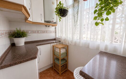 Pisos · Alicante/Alacant