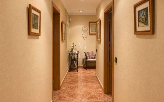 Pisos · Alicante/Alacant