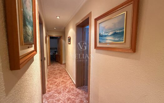 Pisos · Alicante/Alacant