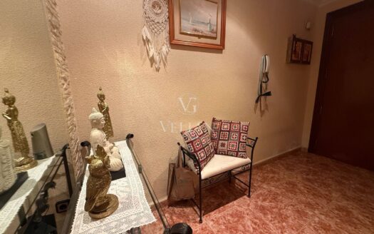 Pisos · Alicante/Alacant