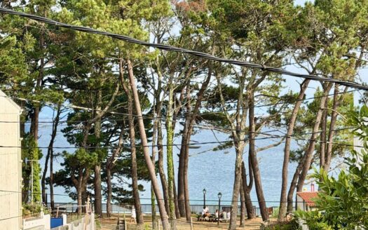 Chalets Independientes · Ribeira