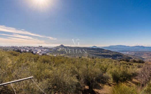 Chalets Independientes · Nivar