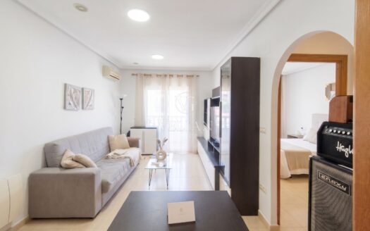 Pisos · Alicante/Alacant