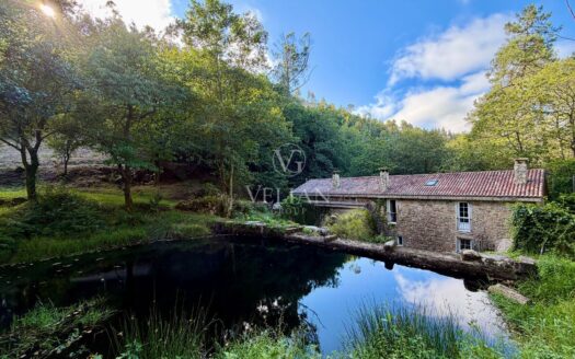 Chalets Independientes · Cerceda