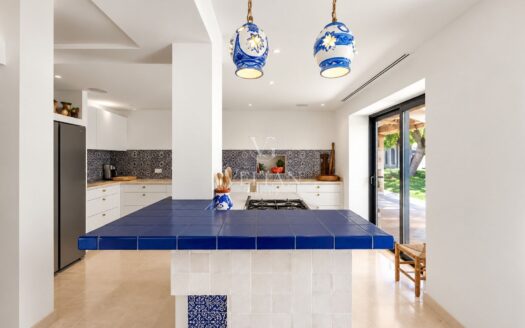 Chalets Independientes · Guadalmina
