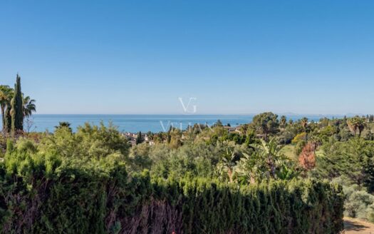 Chalets Independientes · Marbella