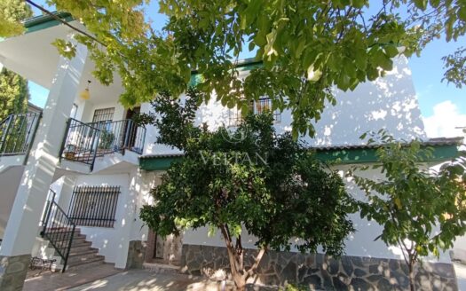 Chalets Independientes · Gojar