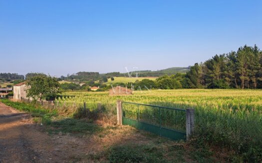 Chalets Independientes · O Pino