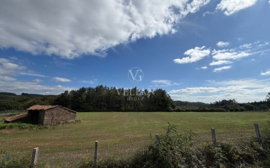 Chalets Independientes · O Pino