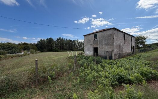 Chalets Independientes · O Pino