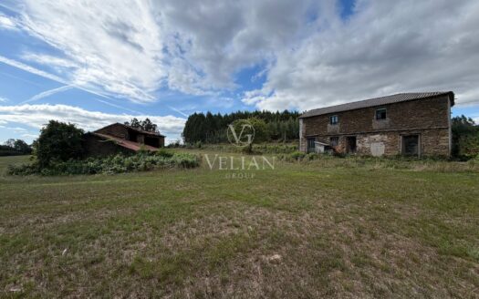 Chalets Independientes · O Pino