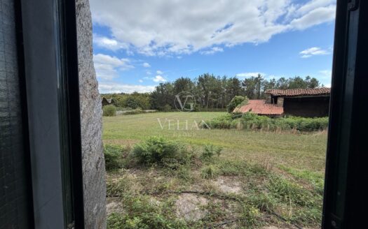Chalets Independientes · O Pino